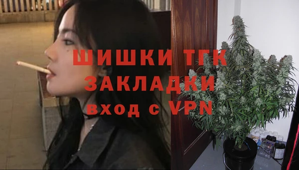 прущие грибы Сосновка